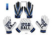 Picture of THROW ME THE DAMN BALL   CUSTOM GLOVES